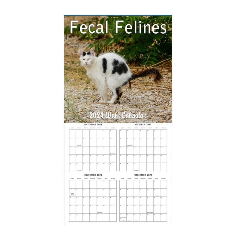 Cat Poop Calendar