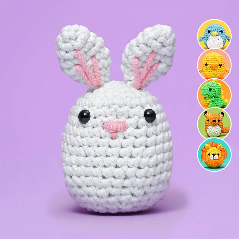 Crochet Kit For Beginners