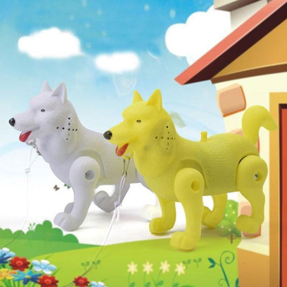 Singing Musical Light Up Electric Toy