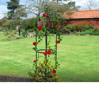 Garden Trellis for Climbing Plants