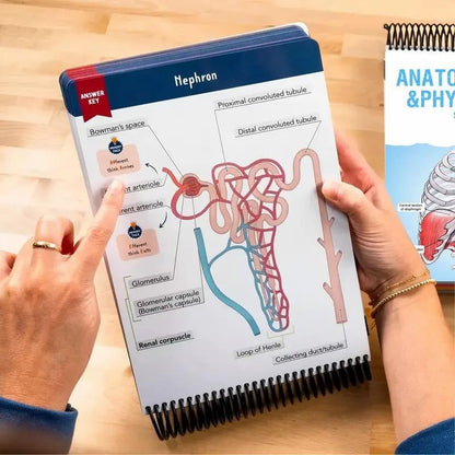 Anatomy Label Workbook
