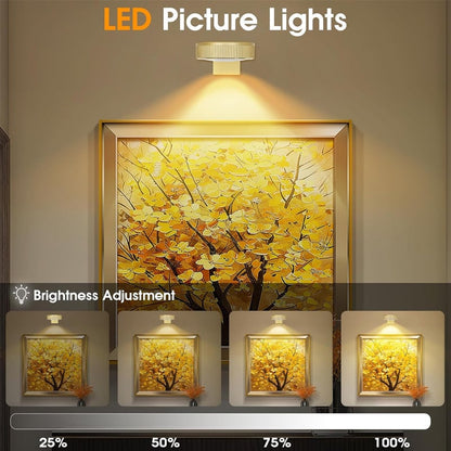 Picture Lights For Wall With 3 Color Temps - 3 Pack