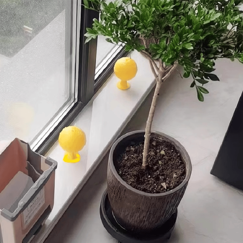 Yellow sticky insect ball