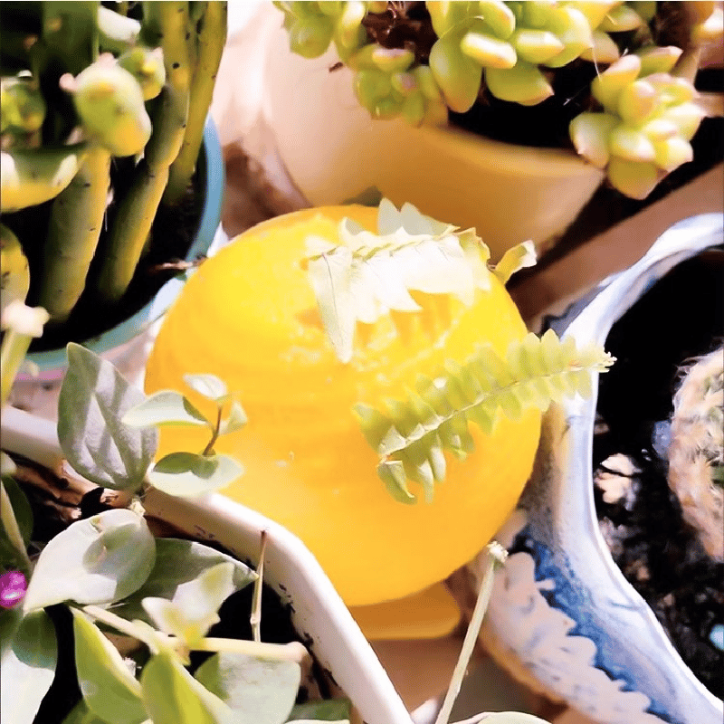 Yellow sticky insect ball