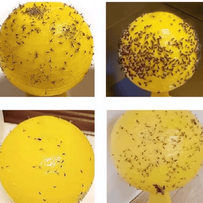 Yellow sticky insect ball