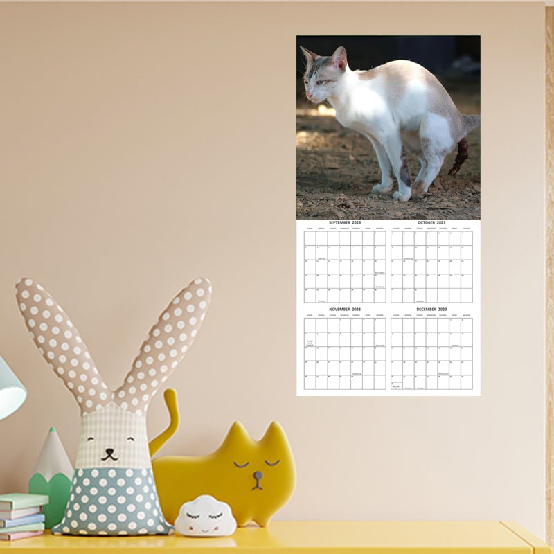 Cat Poop Calendar