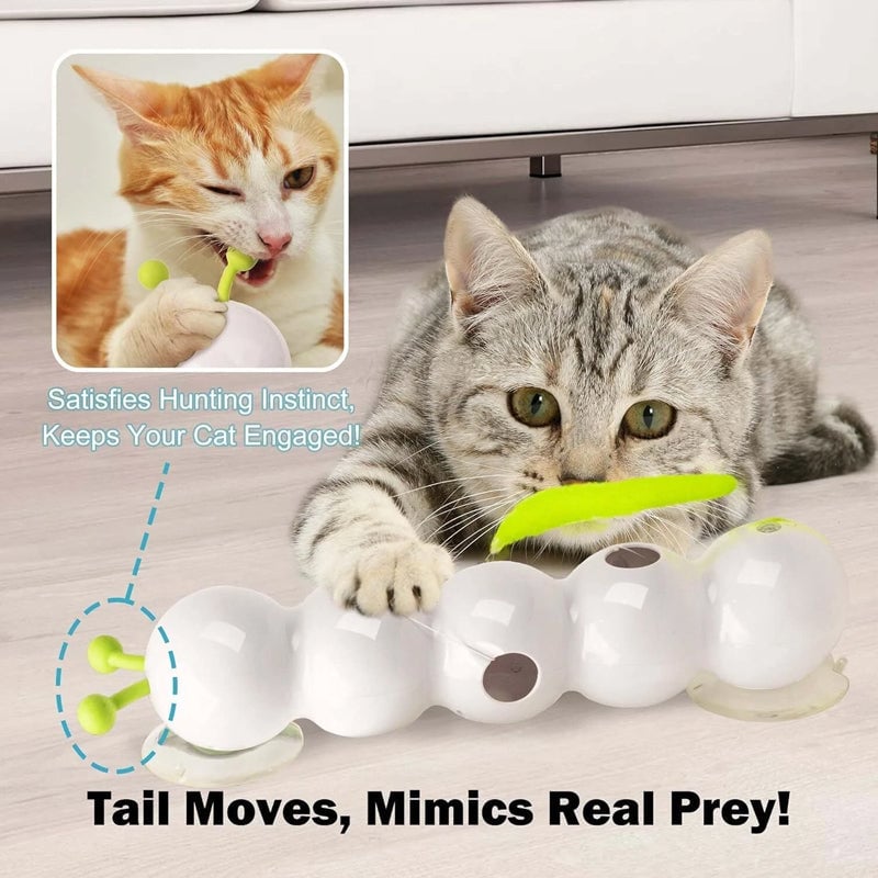 🐱Interactive Electric Caterpillar Cat Toy