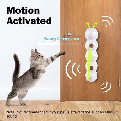 🐱Interactive Electric Caterpillar Cat Toy