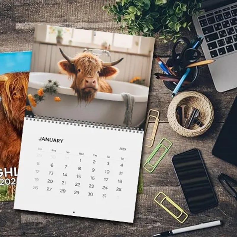 Funny Highland Cows in Bathtubs Calendar