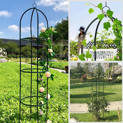 Garden Trellis for Climbing Plants