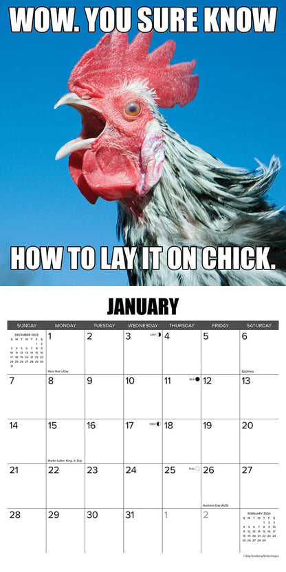 😂2024 Funny Animal Calendar | Inspired farm humor