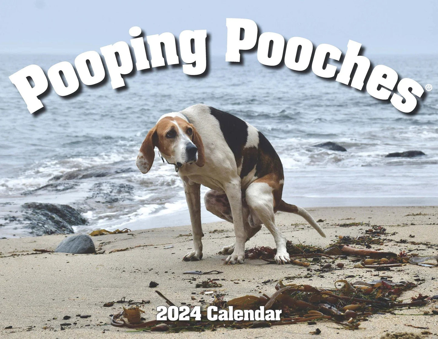 2024 Pooping Pooches Dog Calendar
