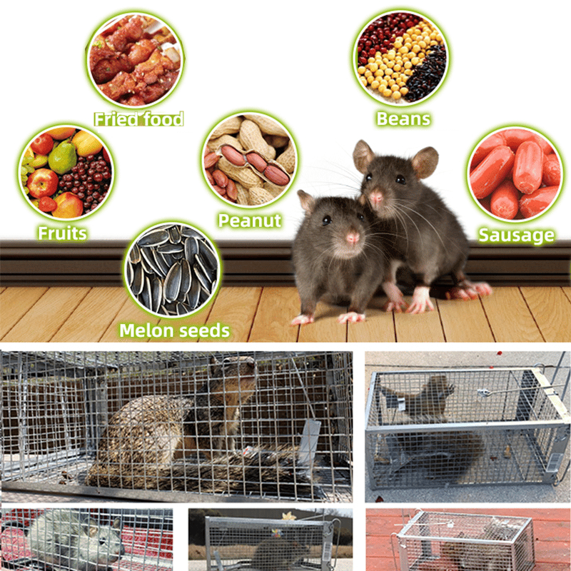 Stainless Steel Automatic Mousetrap