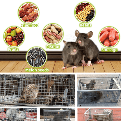 Stainless Steel Automatic Mousetrap