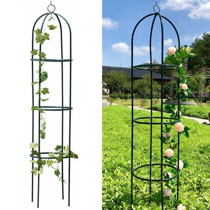 Garden Trellis for Climbing Plants