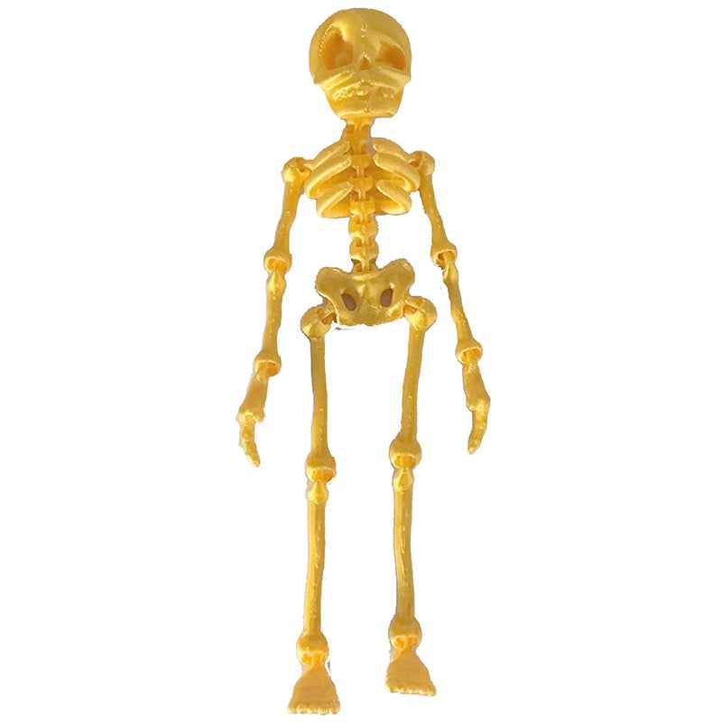 Skeleton Refrigerator Magnet