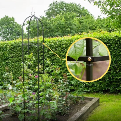 Garden Trellis for Climbing Plants