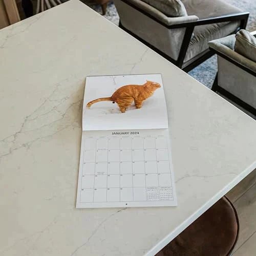 Cat Poop Calendar