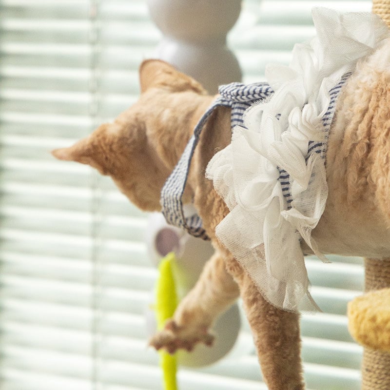 🐱Interactive Electric Caterpillar Cat Toy