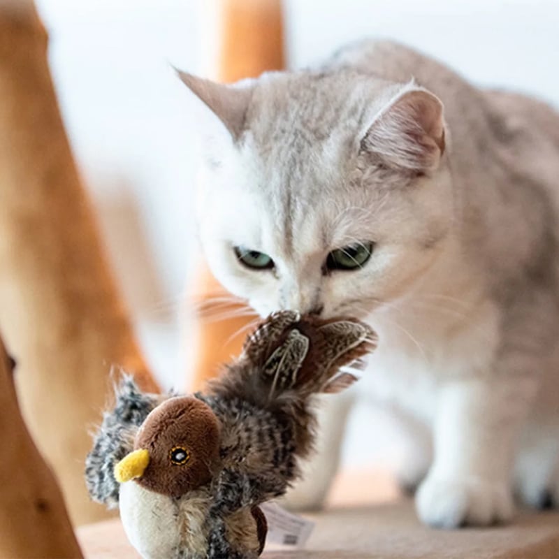 🐦Upgraded Simulated Chirping Bird