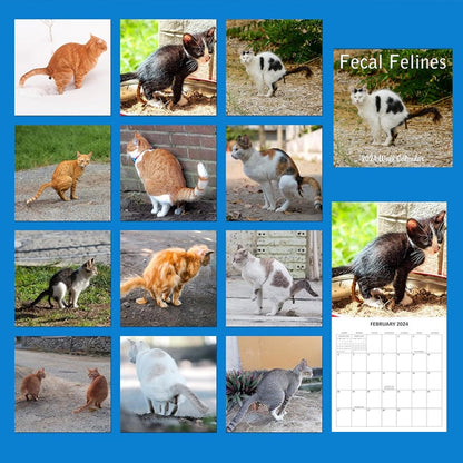 Cat Poop Calendar