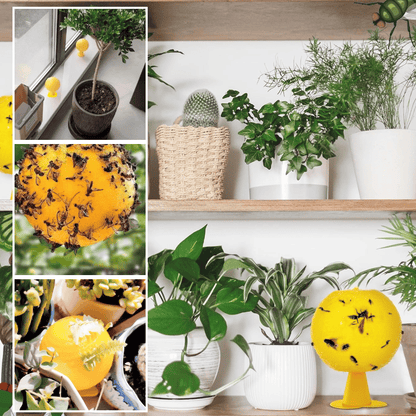 Yellow sticky insect ball