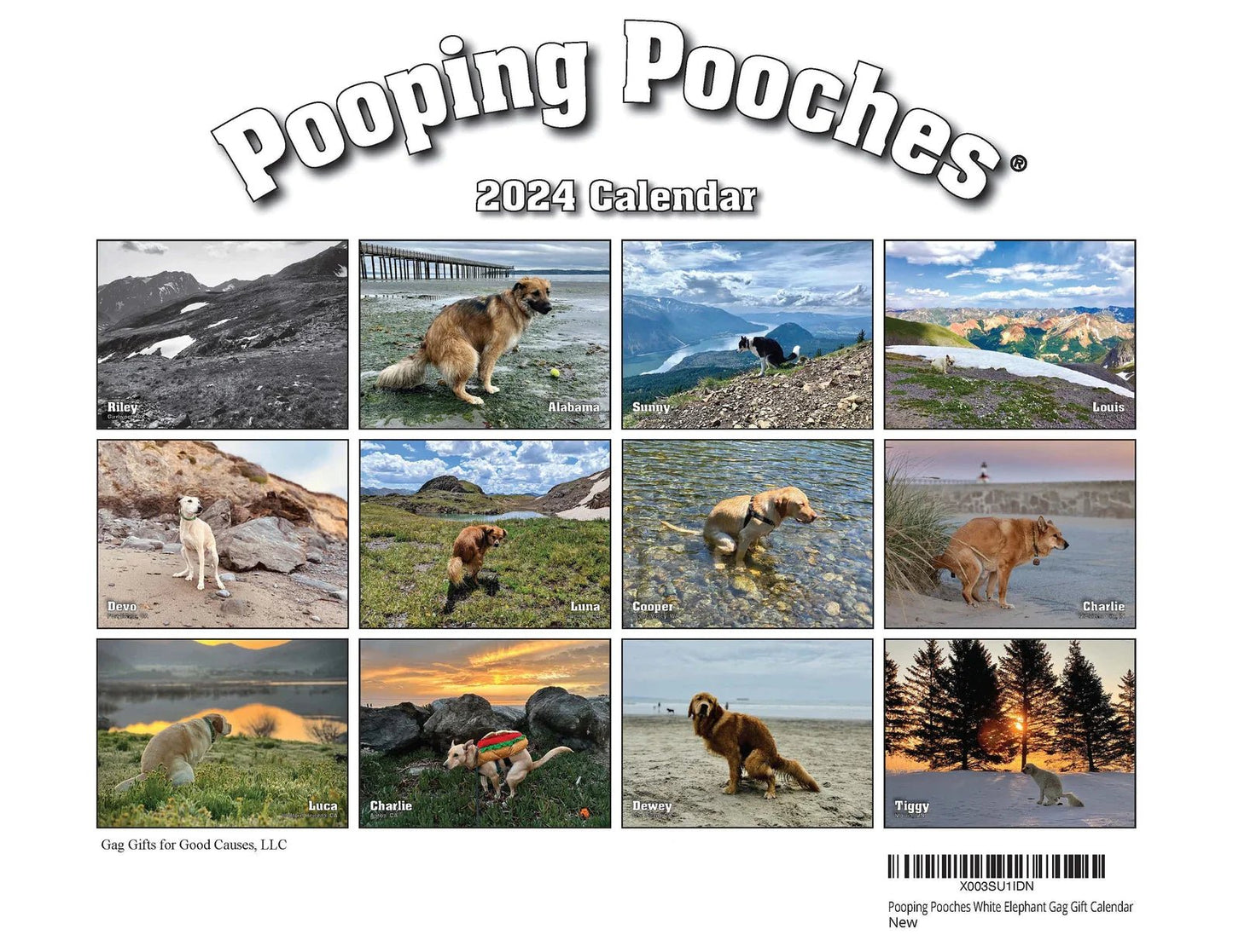 2024 Pooping Pooches Dog Calendar