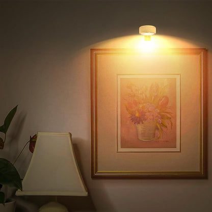 Picture Lights For Wall With 3 Color Temps - 3 Pack
