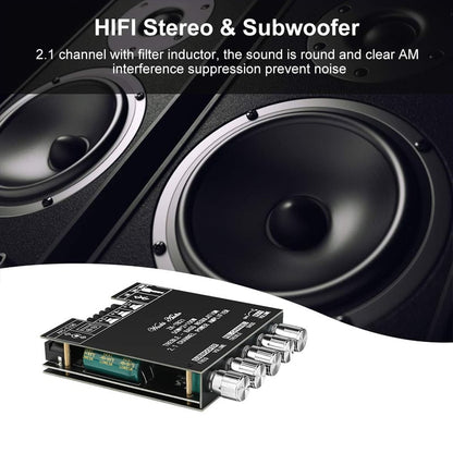 2.1 Channel Audio Receiver Power Amplifier Module