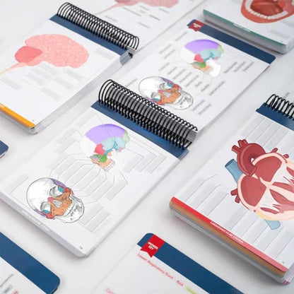 Anatomy Label Workbook