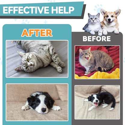 Puppy Yeast Relief Agent