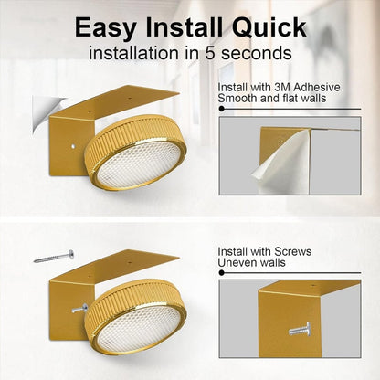 Picture Lights For Wall With 3 Color Temps - 3 Pack