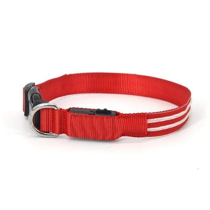 DOG LED COLLARS