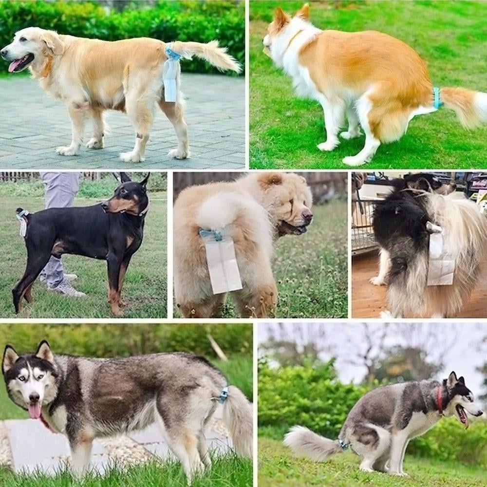 Clip to gather the dog's stool