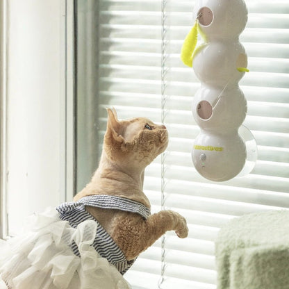 🐱Interactive Electric Caterpillar Cat Toy