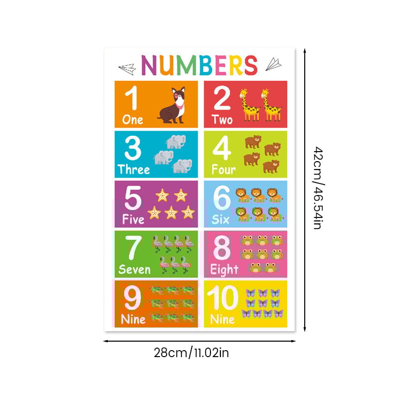 Colorful Educational Posters（16PCS/SET ）