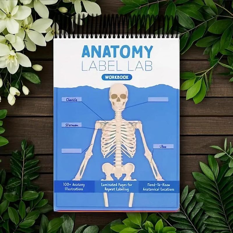 Anatomy Label Workbook