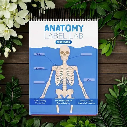 Anatomy Label Workbook