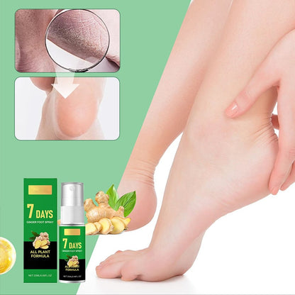 Feet Callus Remover