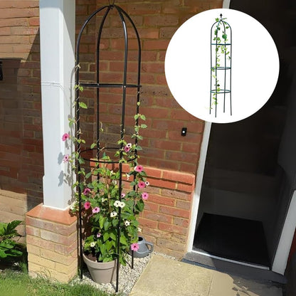 Garden Trellis for Climbing Plants