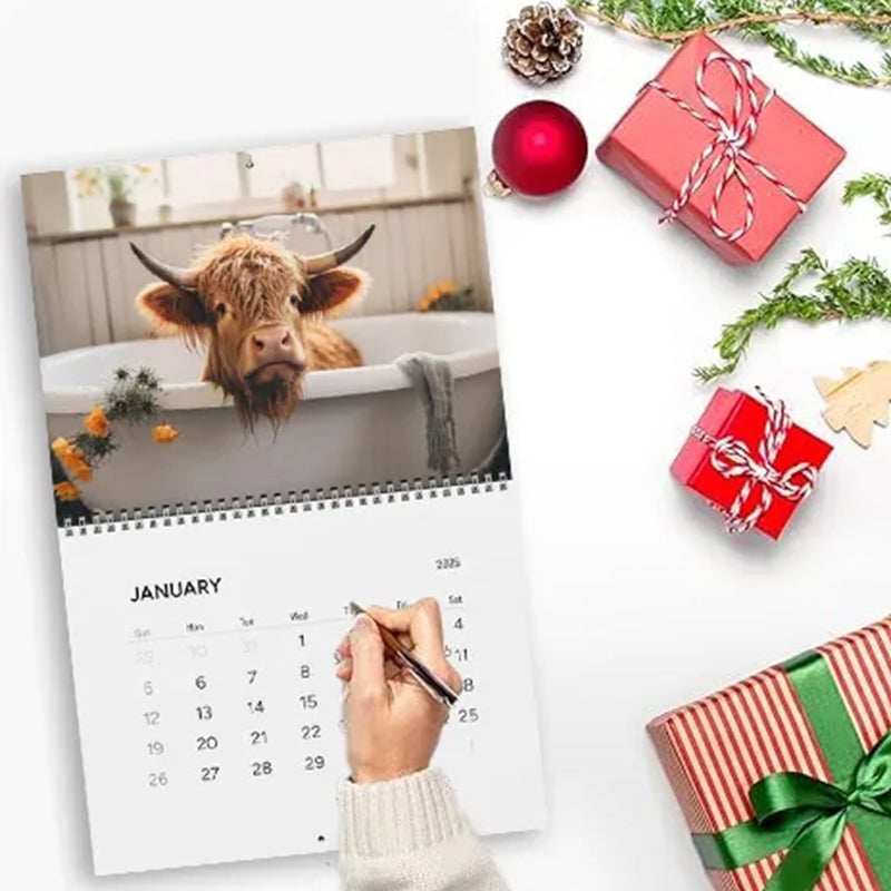 Funny Highland Cows in Bathtubs Calendar