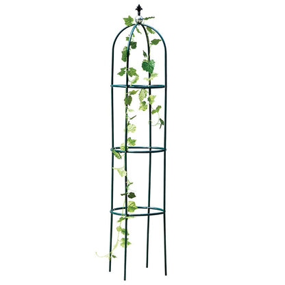 Garden Trellis for Climbing Plants