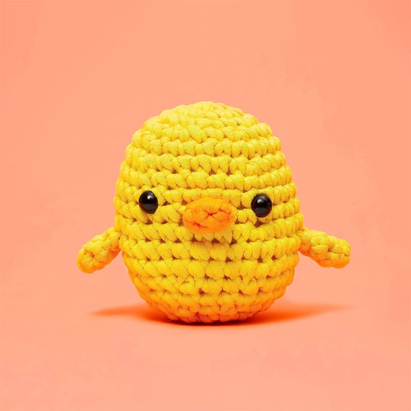 Crochet Kit For Beginners