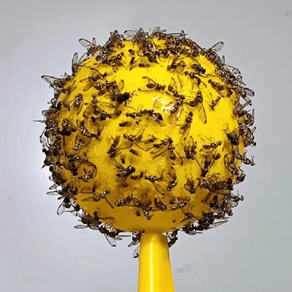 Yellow sticky insect ball
