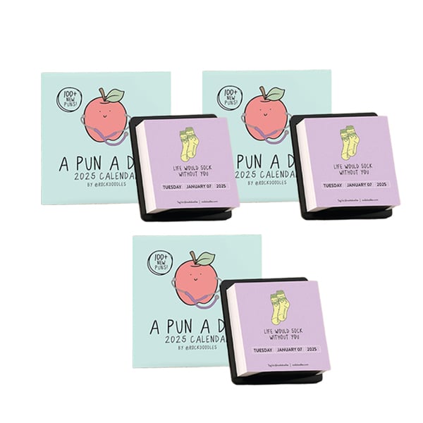 2025 A Pun A Day Desktop Calendar