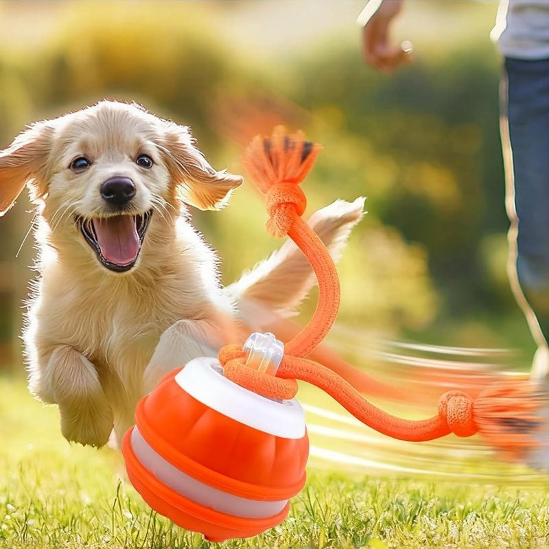 Interactive Smart Rolling Pet Ball