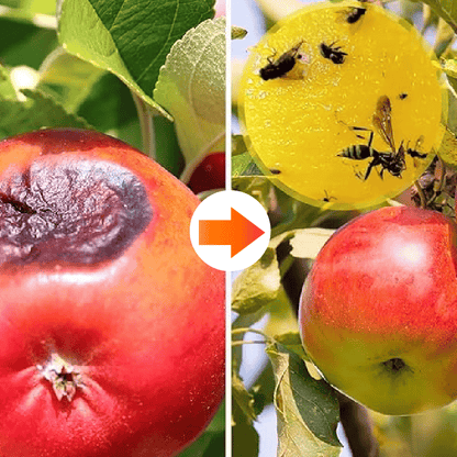 Yellow sticky insect ball