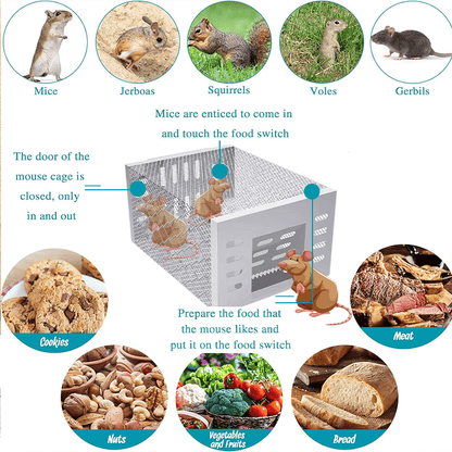 Stainless Steel Automatic Mousetrap