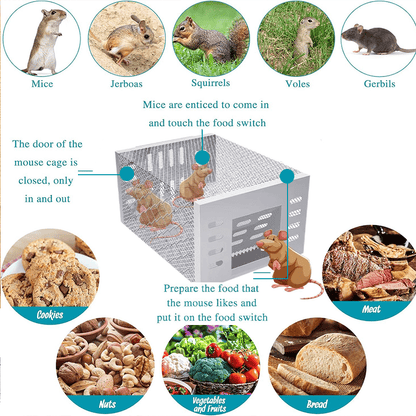 Stainless Steel Automatic Mousetrap