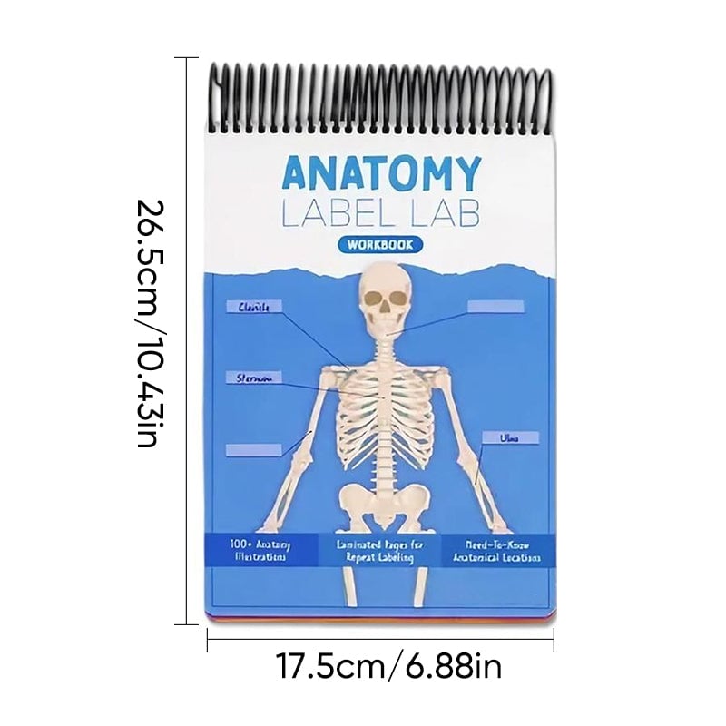 Anatomy Label Workbook